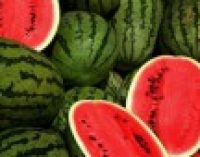 Ціни на кавуни продовжують бити рекорди