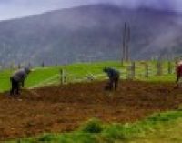 На кожного українця припадає 2 мільйони доларів природних багатств — НАН