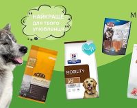 Вибір корму для собак: поради від MyPetsi для щасливого та здорового улюбленця