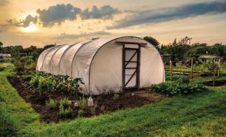 Агроволокно: эффективное решение для сада и огорода